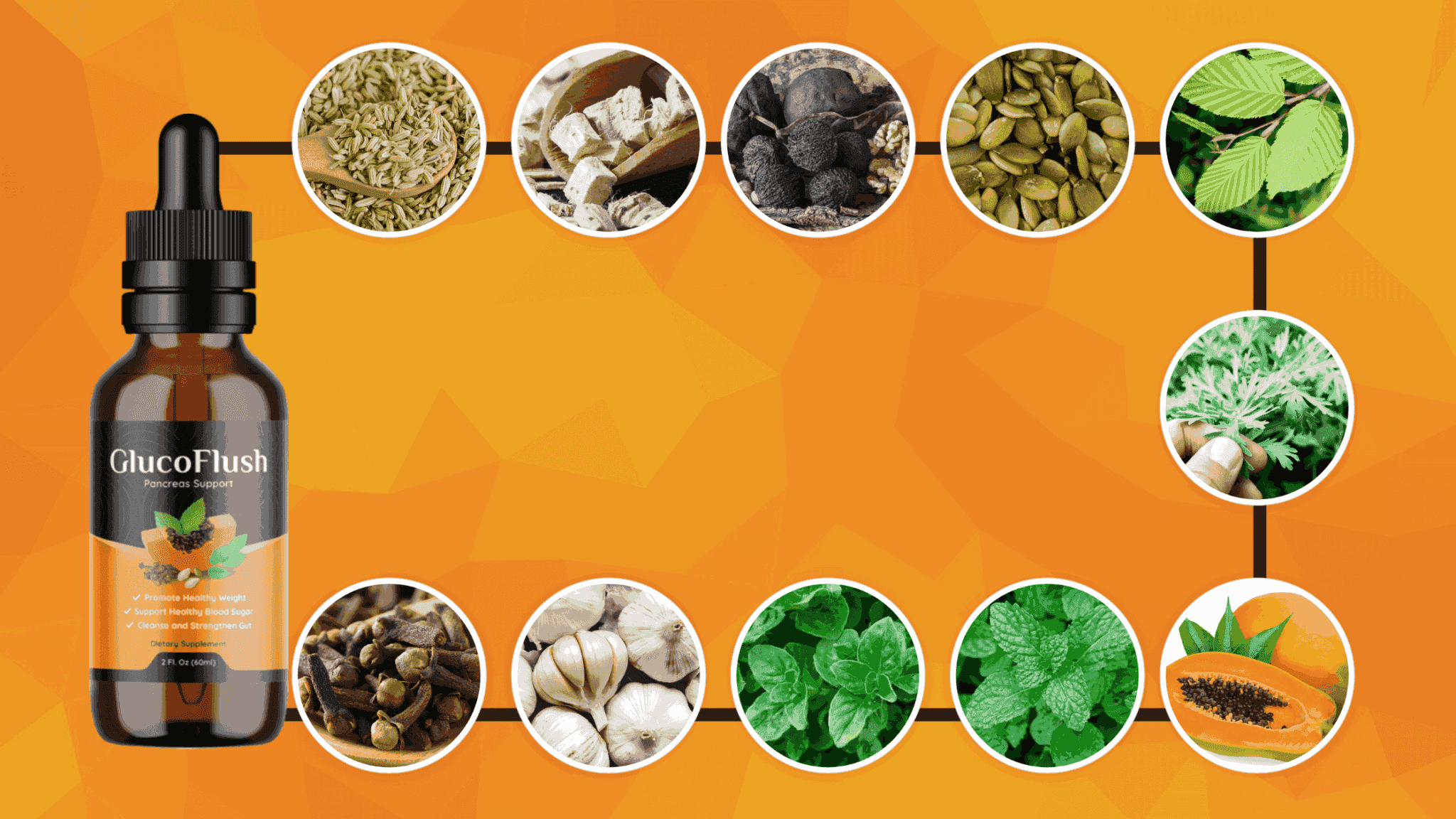 GlucoFlush Supplement Facts
